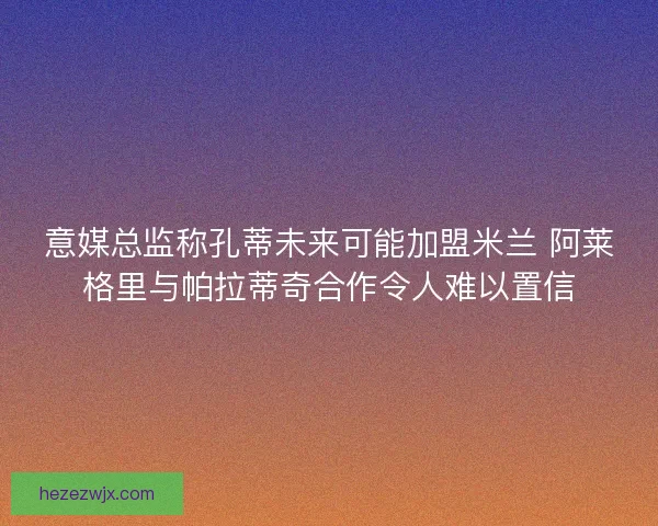 意媒总监称孔蒂未来可能加盟米兰 阿莱格里与帕拉蒂奇合作令人难以置信