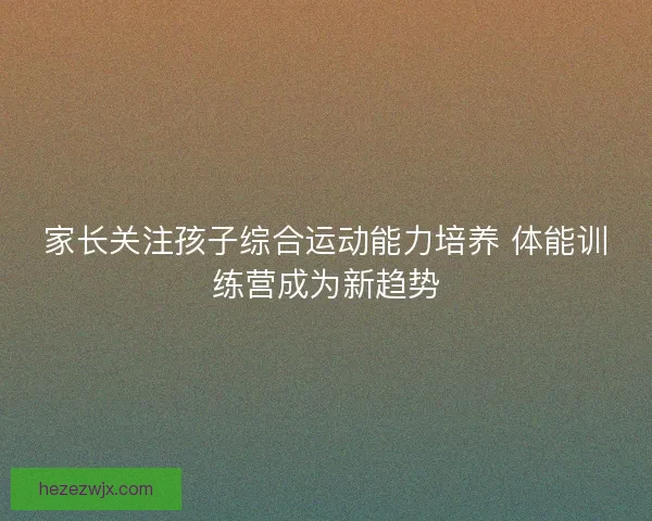 家长关注孩子综合运动能力培养 体能训练营成为新趋势