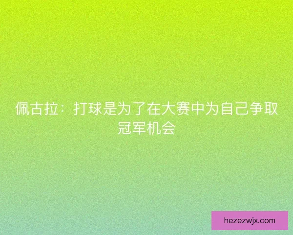佩古拉:打球是为了在大赛中为自己争取冠军机会 佩古拉:打球是为了在大赛中为自己争取冠军机会